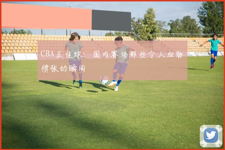 CBA五佳球:国内赛场那些令人血脉偾张的瞬间